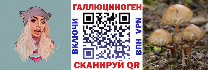 закладки  Мончегорск  Галлюциногенные грибы мицелий 